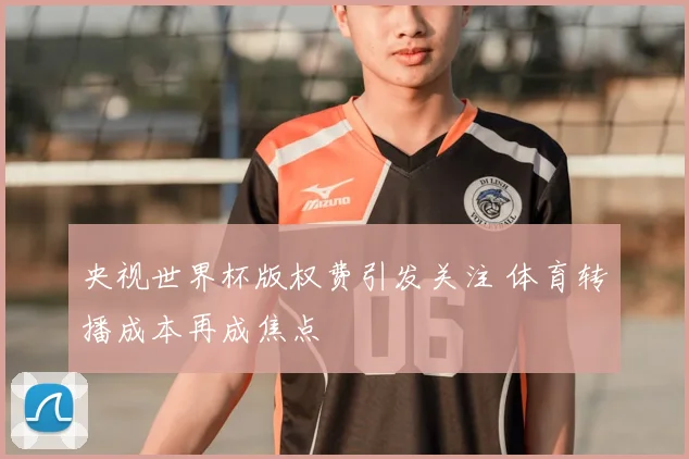 央视世界杯版权费引发关注 体育转播成本再成焦点