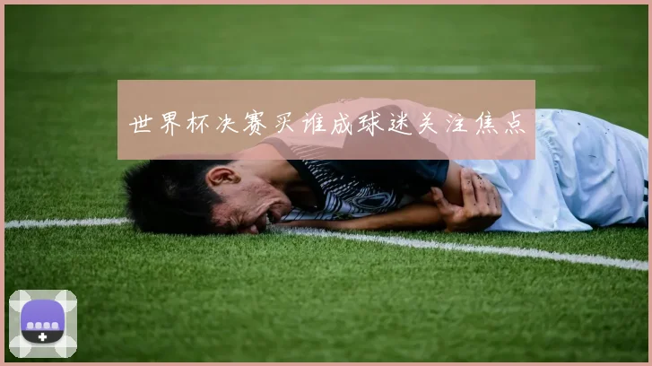 世界杯决赛买谁成球迷关注焦点