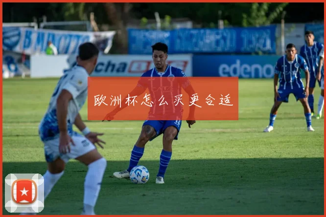 欧洲杯怎么买更合适
