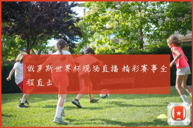 俄罗斯世界杯现场直播 精彩赛事全程直击