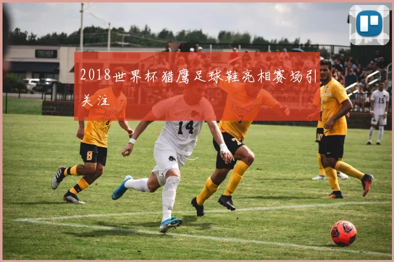 2018世界杯猎鹰足球鞋亮相赛场引关注
