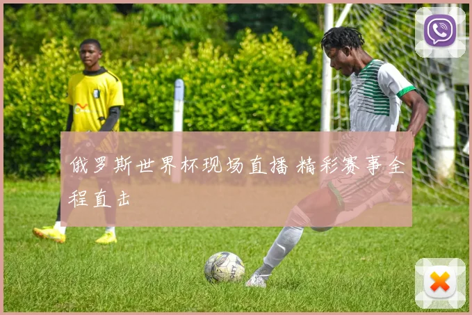 俄罗斯世界杯现场直播 精彩赛事全程直击