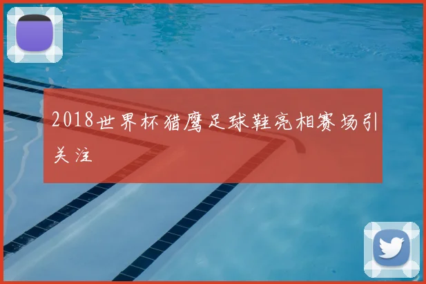 2018世界杯猎鹰足球鞋亮相赛场引关注