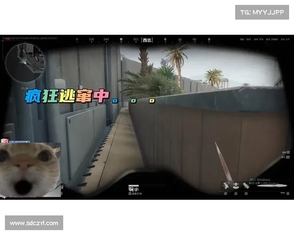 神界原罪2:独立控敌,队友攻击指挥 神界原罪2:独立控敌,队友攻击指挥